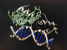 Structural bioinformatics